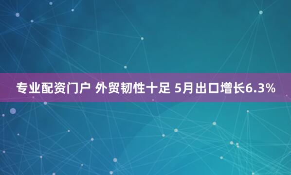 专业配资门户 外贸韧性十足 5月出口增长6.3%