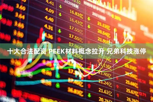 十大合法配资 PEEK材料概念拉升 兄弟科技涨停